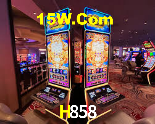 H858
